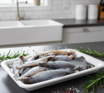 Tangra Fish – Mini