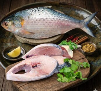 Ilish / Hilsa Fish – Big