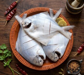 Rupchada Fish – Big