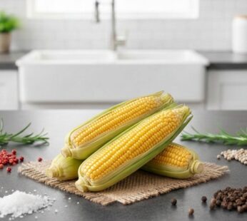 Sweet Corn