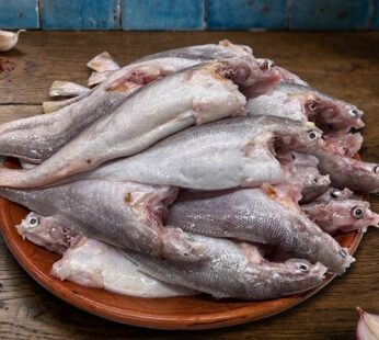 Poa Fish – Big Size