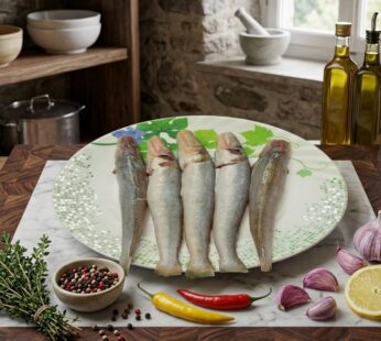 Sea Bele Fish – Big