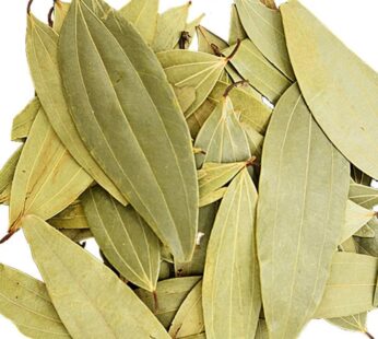 Tejpata